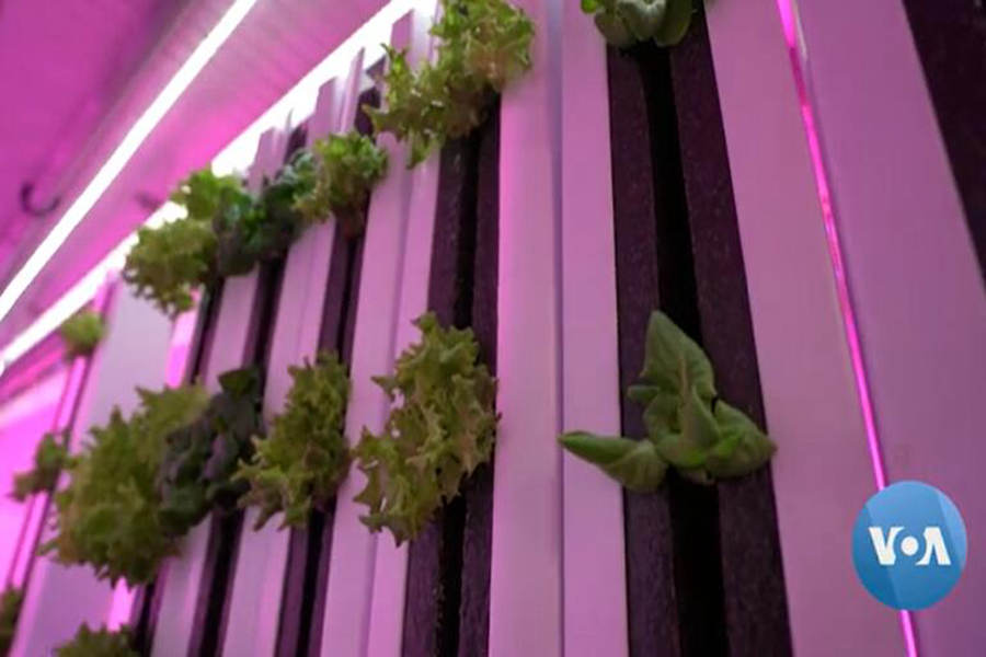 High-Tech Farming Sprouts in New Jersey Shipping Container